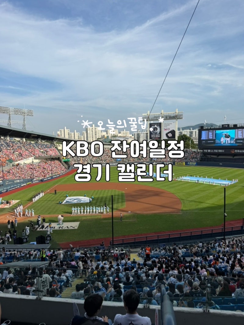 2026 KBO잔여경기 일정 나왔다! 삼성라이온즈/LG트윈스/기아타이거즈 9월 일정