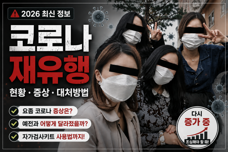 코로나 재유행 시작됐나? 코로나 현황, 증상부터 자가검사 방법까지
