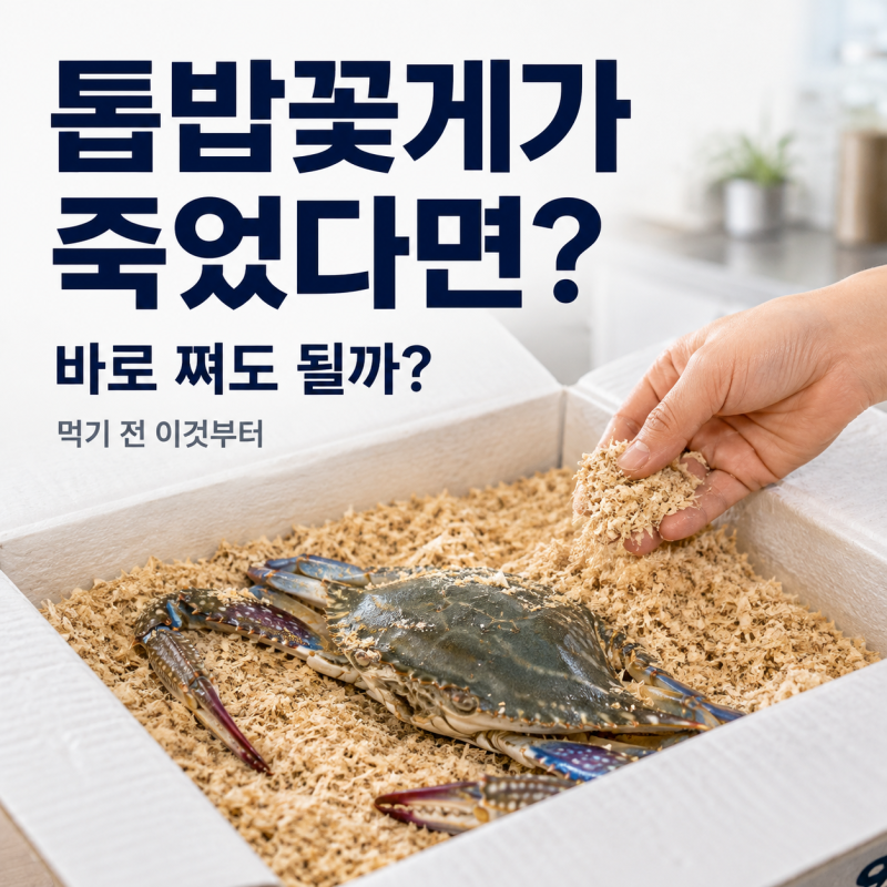 톱밥꽃게 죽었는데 먹어도 될까? 버리기 전 ‘이것’부터 확인하세요