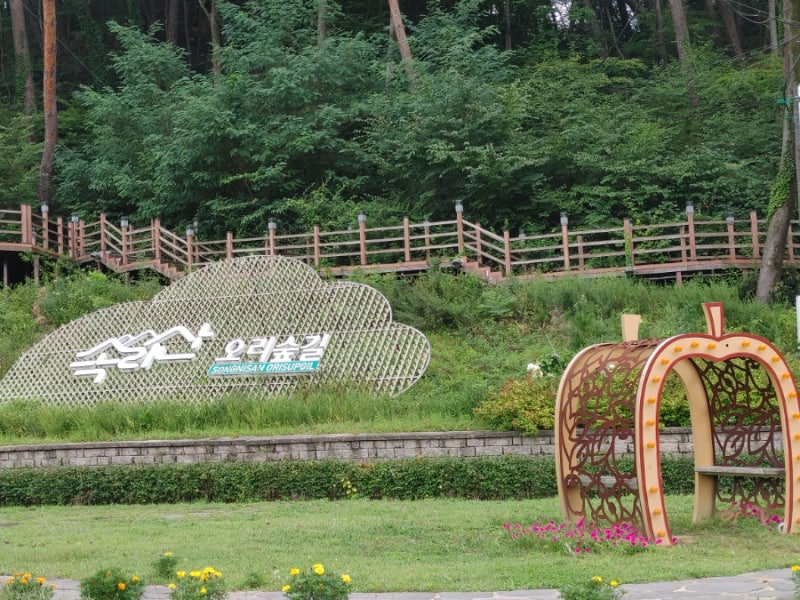 [ 보은 일주일 살기 # 7] 드디어 속리산에 도착! 위너스 호텔 체크인부터 사내리 상가·폭포공....