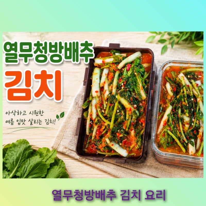 여름 입맛 살아나는 열무·청방배추 김치 맛있게 담그는 법