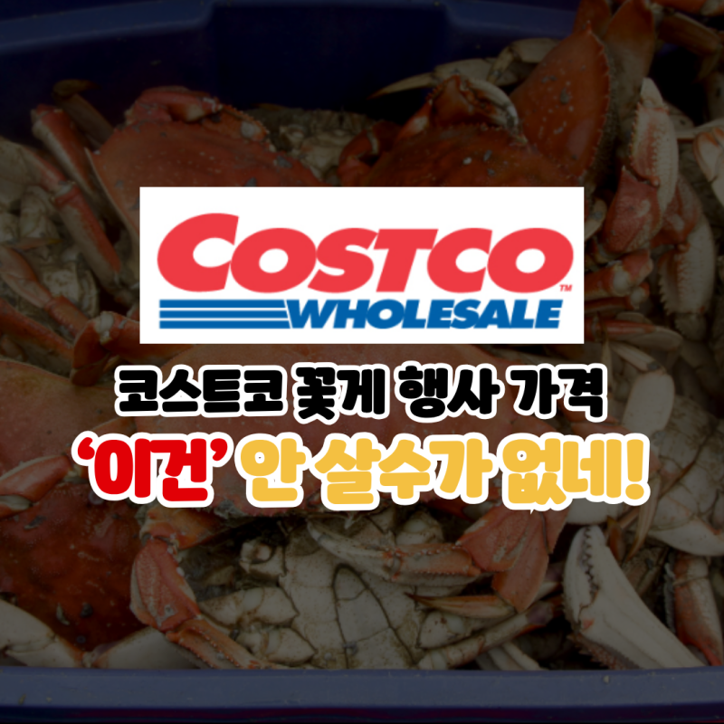 코스트코 꽃게 행사 “이 가격이면 사야죠” 보관 손질법 싹 정리