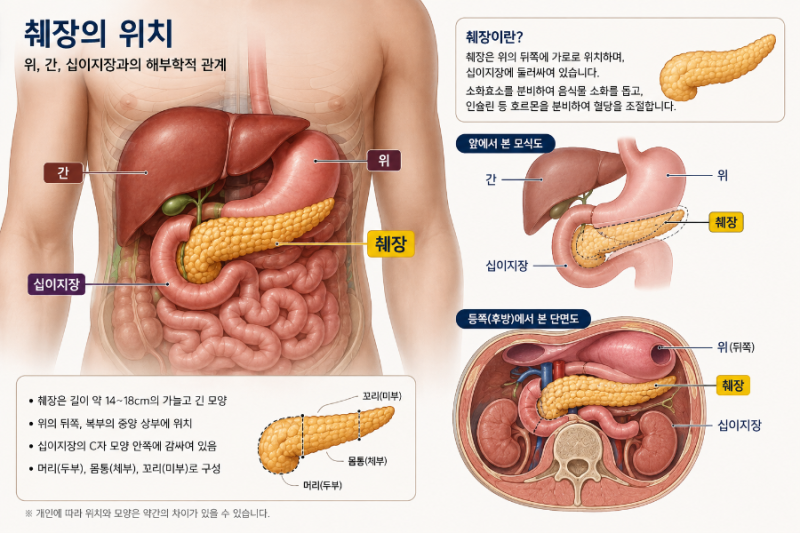 췌장암 생존율 17%… 조기 발견 위해 놓치지 말아야 할 6가지 변화