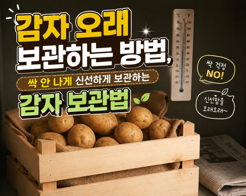 감자 오래 보관하는 방법, 싹 안 나게 신선하게 보관하는 감자 보관법