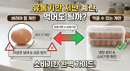 계란 유통기한 지난 후 먹어도 될까? 소비기한과 보관법 알아보기