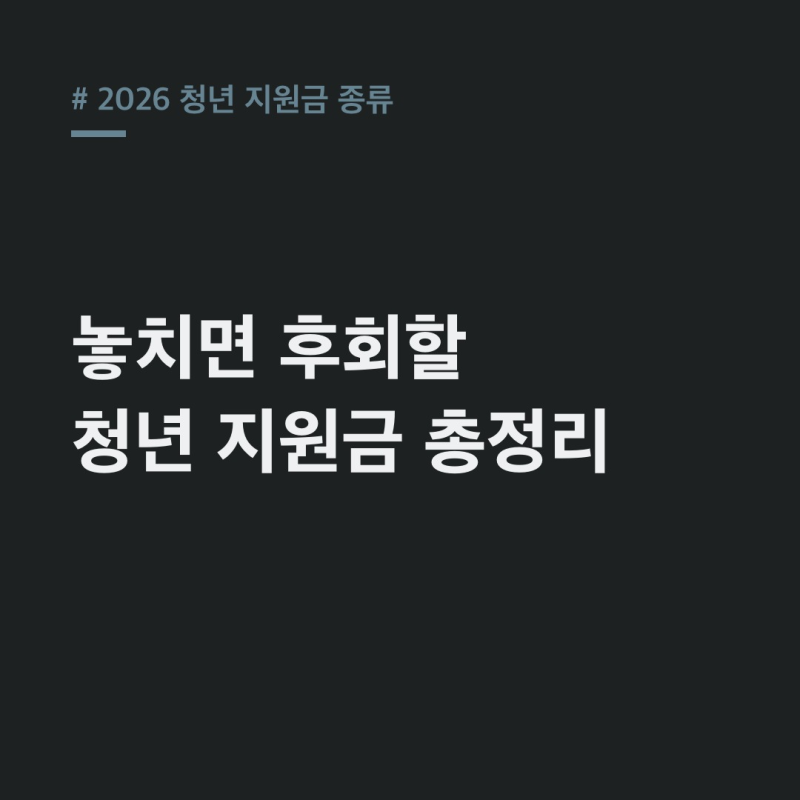 2026 청년 지원금 종류: 월세·취업·창업! 놓치면 후회할 혜택 총정리