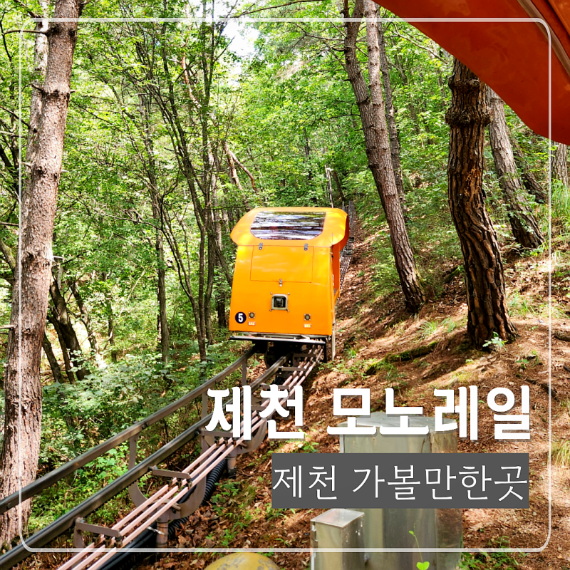 제천 꼭가볼만한 비봉산전망대 청풍호관광모노레일 후기