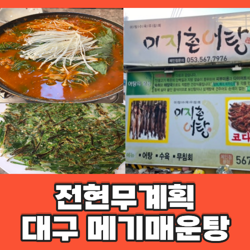 전현무계획4 대구 메기매운탕 맛집 어디? 이찬원이 죽기 전 먹고 싶은 땡초부추전 미지촌어....