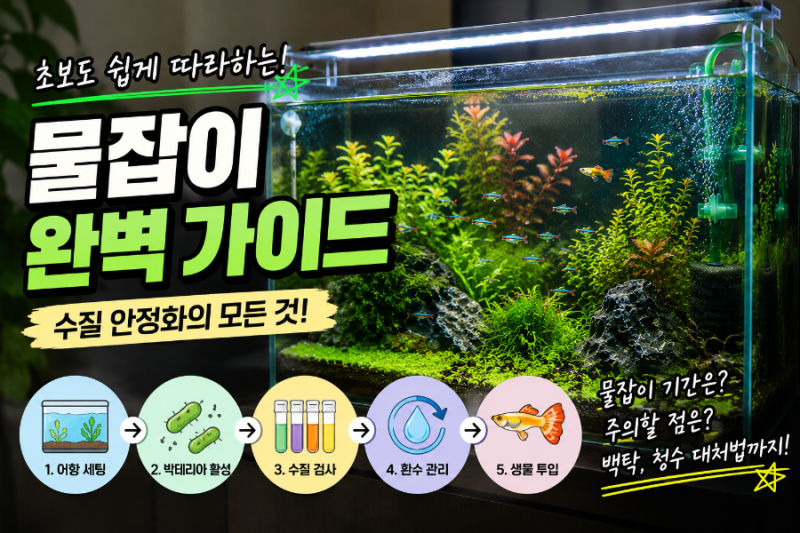 수초어항 초기 물잡이 방법 | 백탁 청수란?