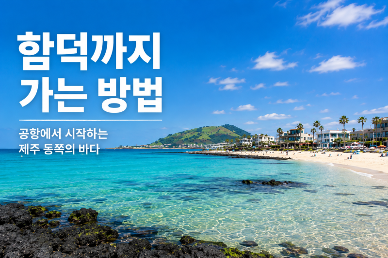 제주공항에서 함덕 가는 법 ｜101·303·325번 버스부터 택시까지