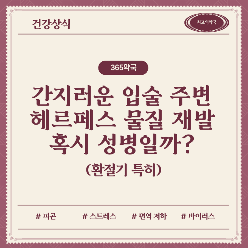 헤르페스원인 입술 물집 재발 이유, 입술 수포 성병일까