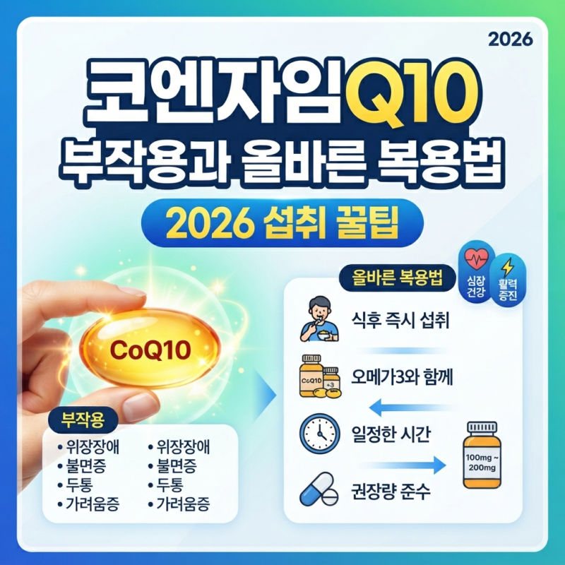 코엔자임Q10 부작용과 올바른 복용법 2026 섭취 꿀팁