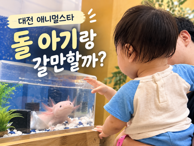 대전 실내 동물원 애니멀스타, 12개월 돌 아기랑 갈만할까?