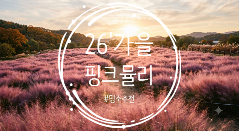 [전국] 가을 핑크뮬리 축제 명소 총정리 | 개화 순서별 일정부터 인생샷 꿀팁까지