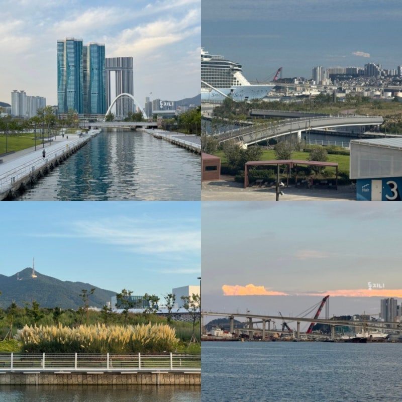 Busan Bukhang Waterfront Park: Romantic September Events, Pampas Grass, and Parking Guide