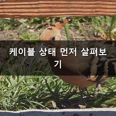 안드로이드 오토 오류 해결하는 방법 정리
