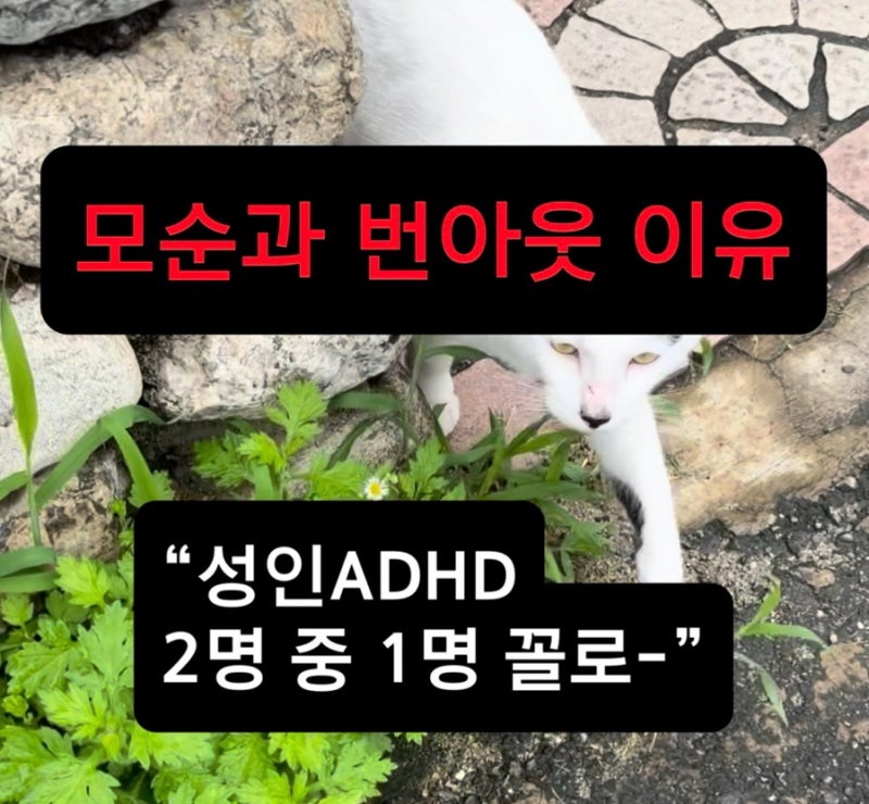 ADHD, 성인adhd 약 부작용이 크고 극단적 번아웃 이유, 자폐적 증상(ASD) 공존 때문일수도 Audhd