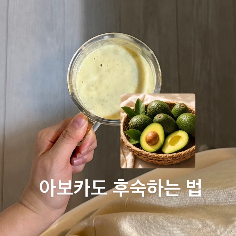 아보카도 후숙하는법, 다이어트할 때 맛있게 먹는 방법