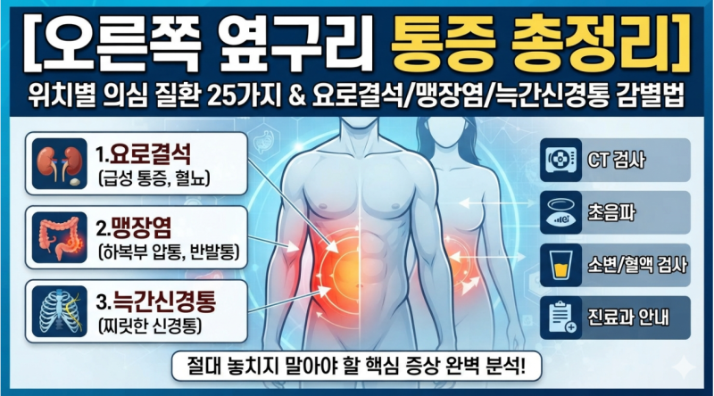 [오른쪽 옆구리 통증 총정리] 여자 남자 위치별 의심 질환 25가지와 요로결석 맹장염 늑간신....
