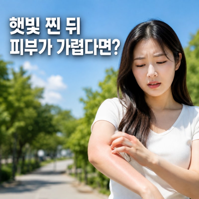 여름만 되면 팔에 붉은 발진, 햇빛 알레르기는 왜 생길까?