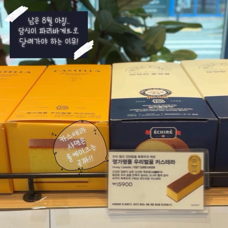 남은 8월 아침에 파리바게트에 가야하는 이유 카스테라 사면 롤케익이 공짜?