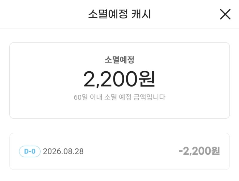 지마켓 소멸 예정 스마일캐시 소진 방법 (e쿠폰 결제 제한 대안)