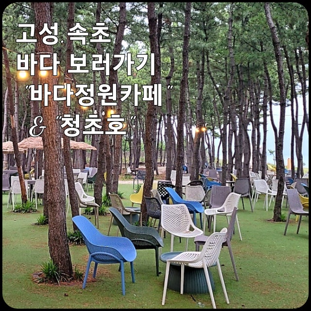 [속초] 속초 바닷가 & 청초호