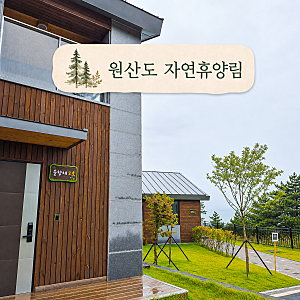 보령 원산도 자연휴양림 솔향채 2호 후기｜바다와 숲을 함께 즐기는 6인실 숙소