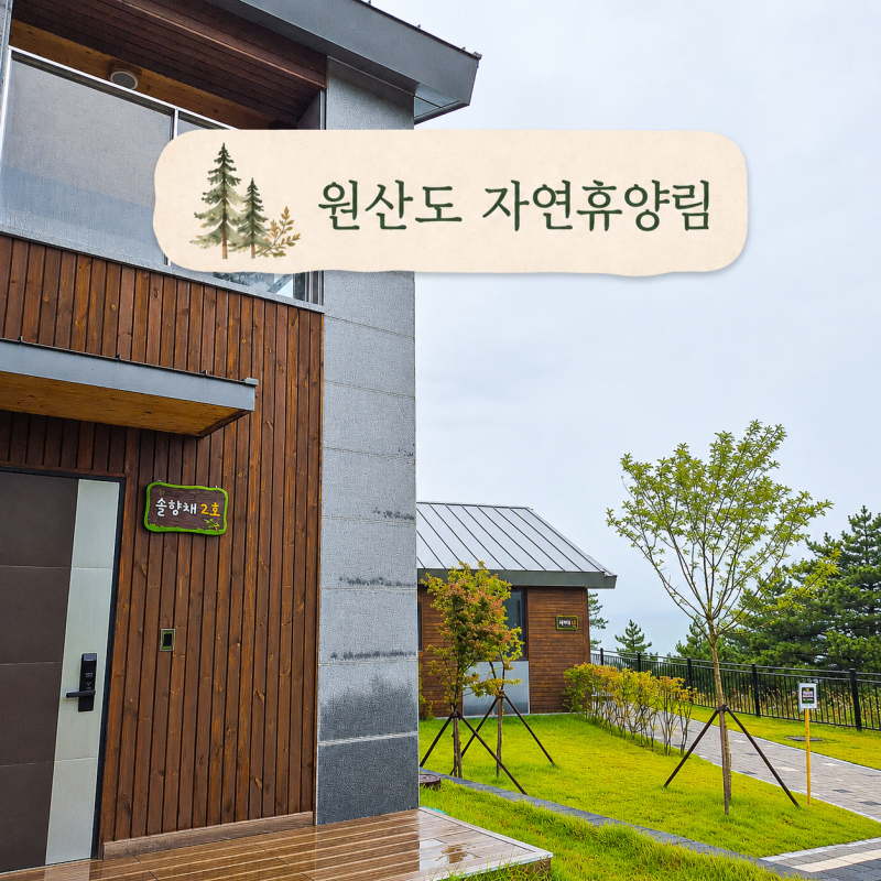 보령 원산도 자연휴양림 솔향채 2호 후기｜바다와 숲을 함께 즐기는 6인실 숙소