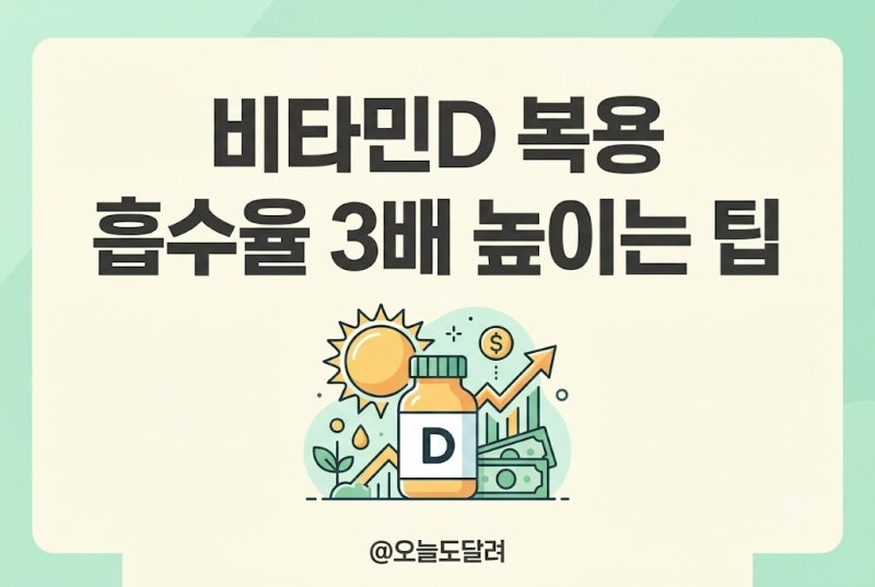 2026 비타민D 일일 권장량과 최적 복용시간대: D3 흡수율 3배 높이는 섭취 가이드