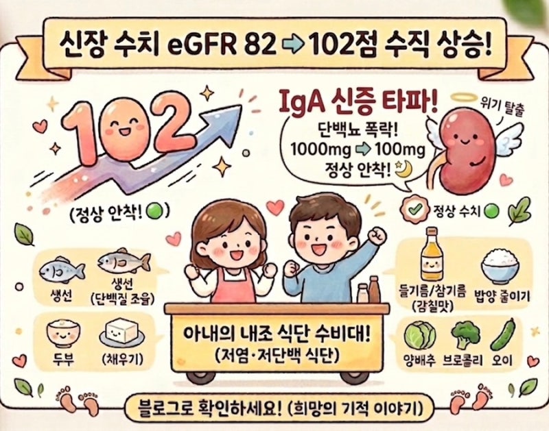 [IgA 신증] 완치급 회복! 신장 수치 eGFR 82->102 달성, 단백뇨 정상 회복 식단 관리
