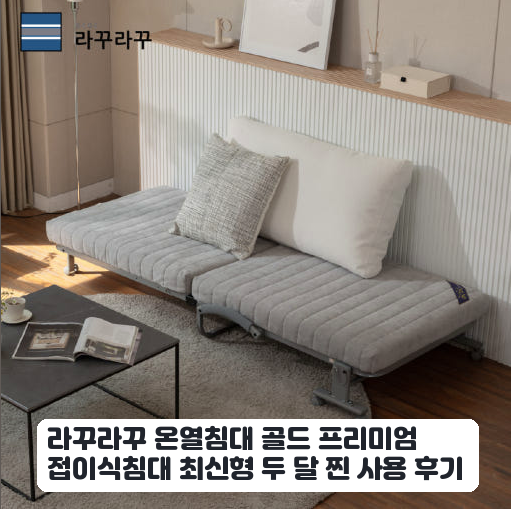 원룸 공간 활용 위해 들인 라꾸라꾸 온열침대 골드 프리미엄 후기