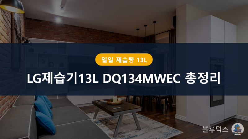 LG제습기13L DQ134MWEC 스펙 총정리, 우리집엔 맞을까
