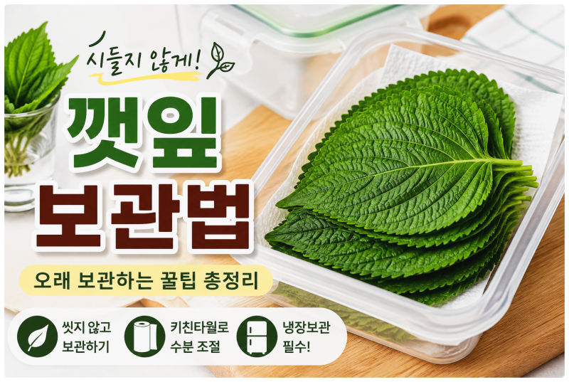 깻잎 오래 보관하는 방법｜시들지 않게 냉장 보관하는 법