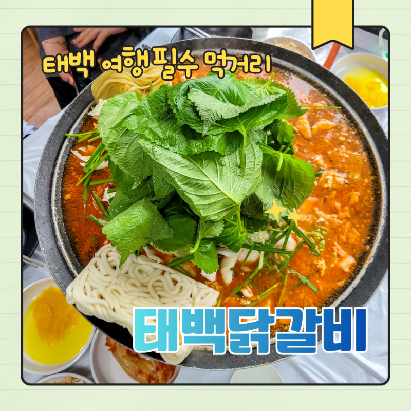 태백 물닭갈비 맛집 태백닭갈비 본점｜태백 여행에서 꼭 먹어봐야 할 물닭갈비 직접 먹어 본....