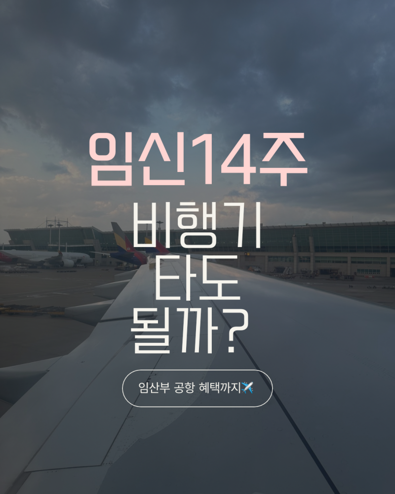임산부 비행기 타도 될까?｜임신 14주 괌여행 | 진에어·인천공항 혜택