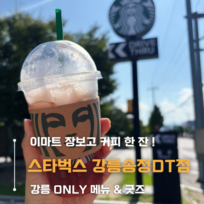 강릉 스타벅스 송정DT점 l 이마트 장보고 충전 l 강릉온리메뉴 강원굿즈까지