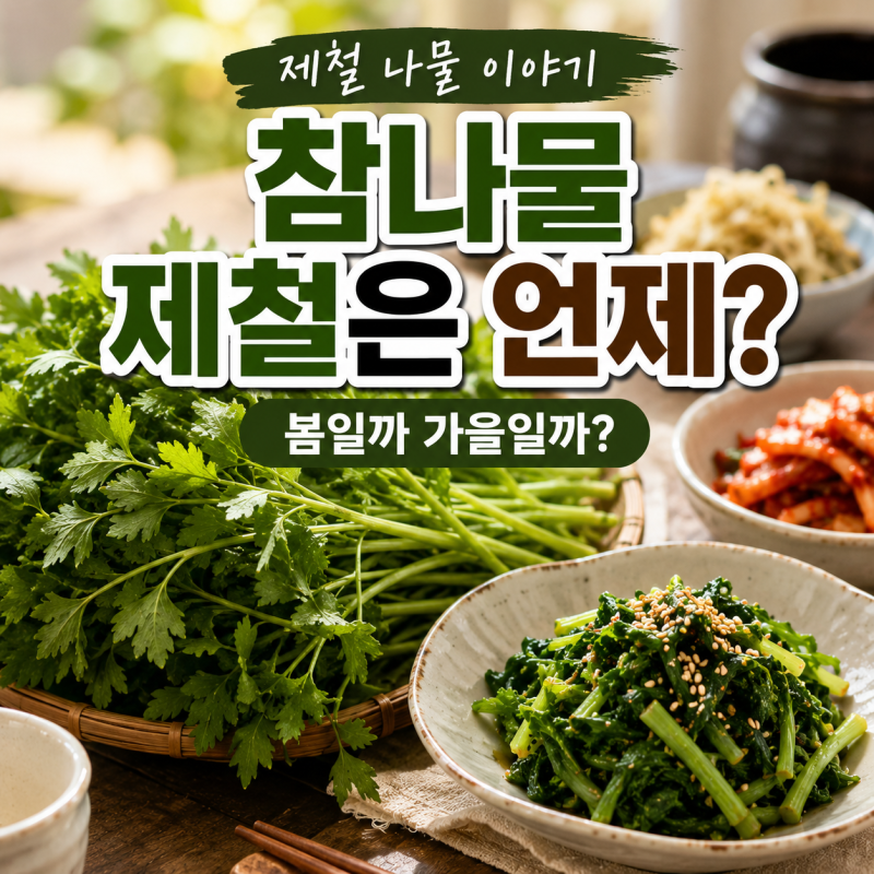 참나물 제철은 봄일까 가을일까? 파드득나물과 차이점·손질·보관법 총정리