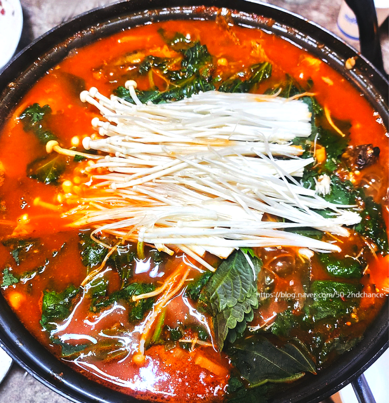 전현무계획4 대구 이찬원 단골 메기매운탕·떙초부추전·어탕 맛집 어디? 위치·메뉴·가격·....