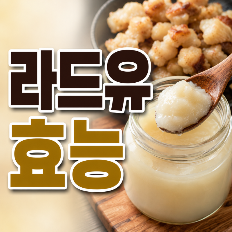 트랜스지방 없는? 돼지기름 라드유의 오해와 진실 라드유 효능
