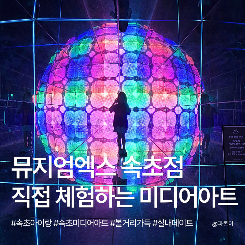 속초 가볼만한곳 뮤지엄엑스 속초점 ｜ 실내 놀거리 및 이색 데이트 아이와 함께 방문 후기
