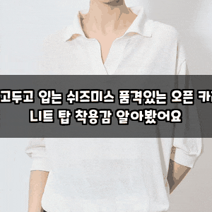 두고두고 입는 쉬즈미스 품격있는 오픈 카라 니트 탑 착용감 알아봤어요