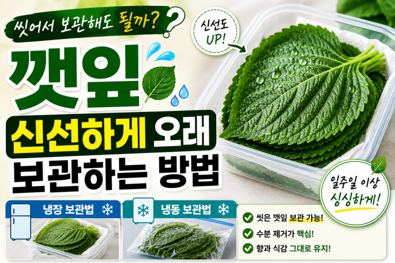 깻잎 씻어서 보관해도 될까? 신선하게 오래 보관하는 방법