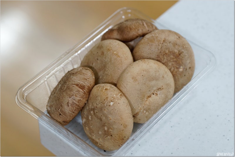 표고버섯 효능 5가지! 영양성분과 비타민D, 알레르기까지