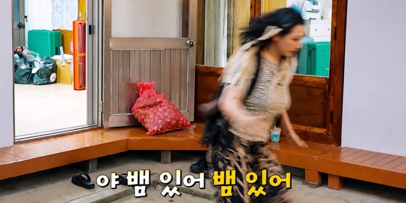 언니네산지직송3 5회 “뱀이야, 뱀!”촬영장 발칵 뒤집은 웃음 폭탄
