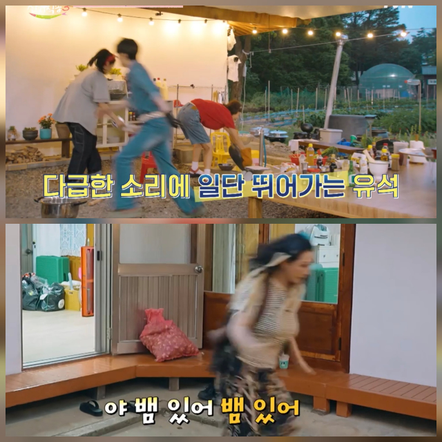김선영 맨발 뱀 출몰 사건 강유석 비명 뒤 무슨 일이?