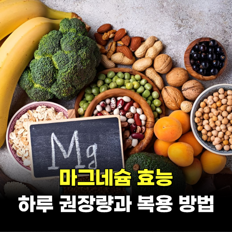 마그네슘 효능 4가지 하루 권장량과 복용 방법