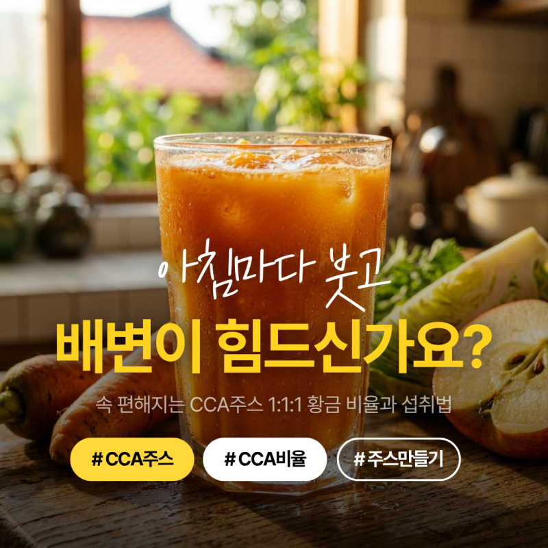 CCA주스 효능, 아침마다 붓고 배변 힘들다면? 속 편해지는 1:1:1 황금 비율과 섭취법 3가지