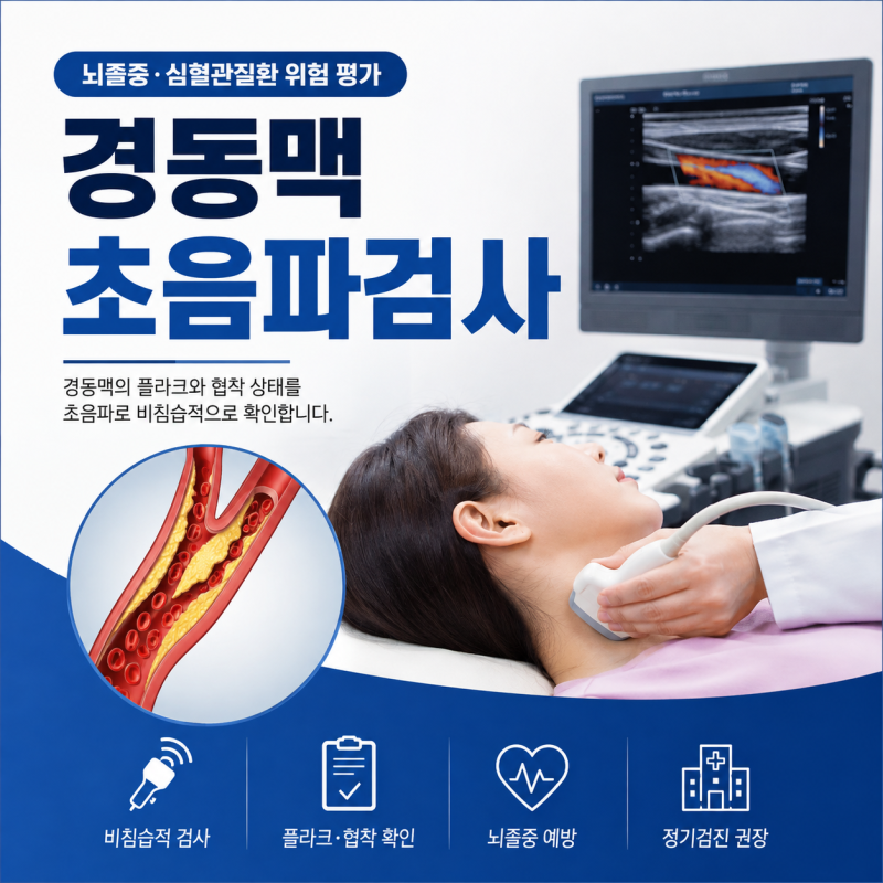 경동맥초음파검사 목적부터 어디서 받는지까지 알아보세요