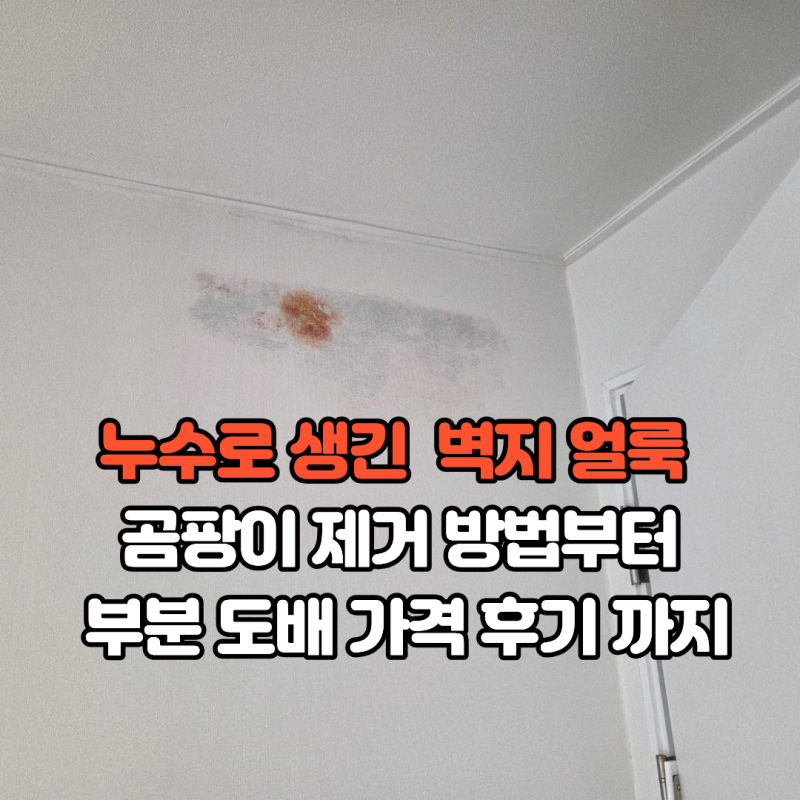 윗집 누수로 벽지 곰팡이·녹물 자국, 부분도배 후기, 과정, 소요 시간, 가격까지